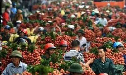 八喜大集助力農(nóng)產(chǎn)銷售，金秋豐收季瓜果更香甜